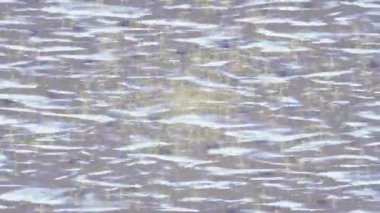 Modern medya üretimi için fütüristik dijital soyut doku sinematik tarz hareketli grafik ögesi