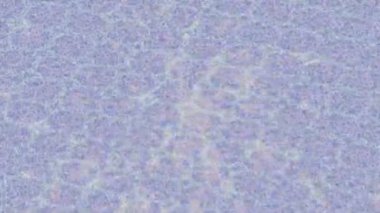 Benzersiz dijital hareket grafiklerine sahip yaratıcı sinematik projeler için yumuşak animasyon yüzeyi