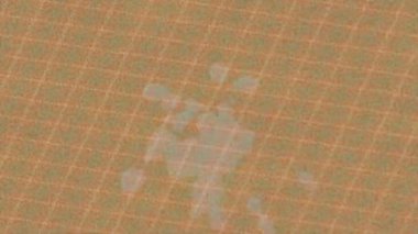 Estetik doku arkaplan tasarımı renkli hareket grafikleri ile moda film giriş profosyoneli