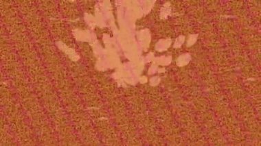 Profesyonel video projeleri sanat tarzı için organik hareketli arkaplan tasarımı