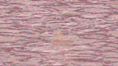 Benzersiz hareket dokusu tasarım sanatı ile profesyonel video düzenleme için modern soyut grafikler