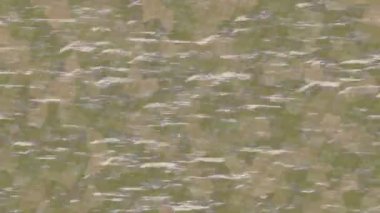 Benzersiz hareket grafikleri tasarım sanatına sahip yaratıcı film üretimi için özet bir arkaplan