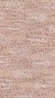 Organik desenli yüzey giriş stili video film sanatı ile soyut arkaplan tasarımı