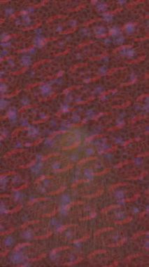 Organik desenli yüzey giriş stili video film sanatı ile soyut arkaplan tasarımı