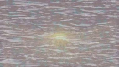 Organik desenli yüzey giriş stili video film sanatı ile soyut arkaplan tasarımı