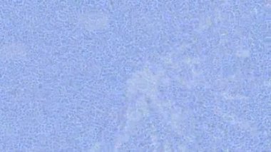 Estetik doku arkaplan tasarımı renkli hareket grafikleri ile moda film giriş profosyoneli