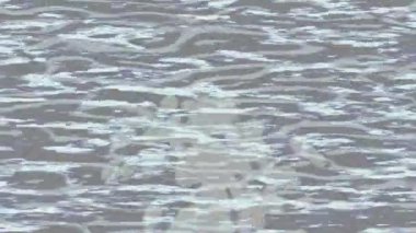 Benzersiz video giriş tasarımı projeleri için detaylı yüzey kalıbı film animasyon stili grafik girişi