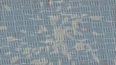 Yaratıcı video düzenleme film arkaplan tasarımı için minimalist organik hareket grafikleri