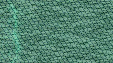 Profesyonel video projeleri sanat tarzı için organik hareketli arkaplan tasarımı