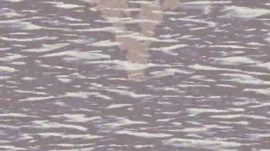 Lüks hareket projeleri için soyut tasarım stili animasyonu olan üst düzey dijital doku