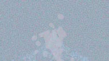 Lüks hareket projeleri için soyut tasarım stili animasyonu olan üst düzey dijital doku