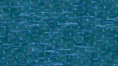 Yaratıcı video düzenleme film arkaplan tasarımı için minimalist organik hareket grafikleri