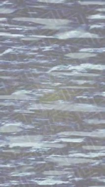 Benzersiz dijital hareket grafiklerine sahip yaratıcı sinematik projeler için yumuşak animasyon yüzeyi