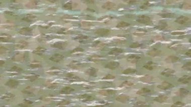 Lüks hareket projeleri için soyut tasarım stili animasyonu olan üst düzey dijital doku