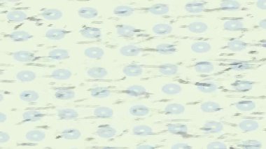 Yaratıcı video düzenleme film arkaplan tasarımı için minimalist organik hareket grafikleri