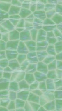 Profesyonel video projeleri sanat tarzı için organik hareketli arkaplan tasarımı