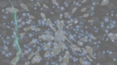 Dijital doku yüzey tasarım biçimi ile modern video animasyonu için gelişmiş hareket grafikleri