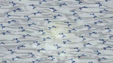 Benzersiz video giriş tasarımı projeleri için detaylı yüzey kalıbı film animasyon stili grafik girişi