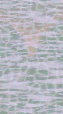 Yaratıcı video düzenleme film arkaplan tasarımı için minimalist organik hareket grafikleri