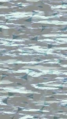 Benzersiz dijital hareket grafiklerine sahip yaratıcı sinematik projeler için yumuşak animasyon yüzeyi