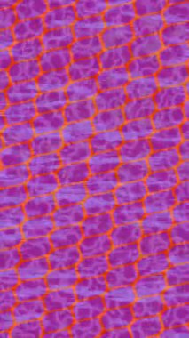 Soyut hareket desenli fütüristik video üretimi için dinamik dijital arkaplan