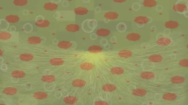 Benzersiz hareket grafikleri tasarım sanatına sahip yaratıcı film üretimi için özet bir arkaplan