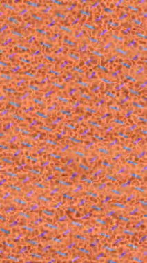 Lüks hareket tasarımı üst düzey video projeleri ve dijital sanat için zarif, pürüzsüz bir dokusu var.