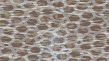 Benzersiz dijital hareket grafiklerine sahip yaratıcı sinematik projeler için yumuşak animasyon yüzeyi