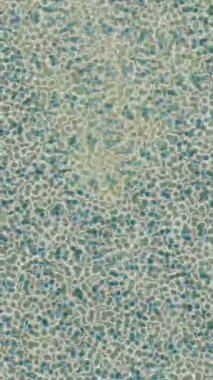 Profesyonel video projeleri sanat tarzı için organik hareketli arkaplan tasarımı