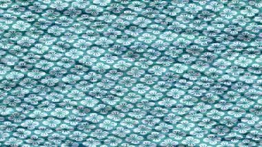 Lüks hareket tasarımı üst düzey video projeleri ve dijital sanat için zarif, pürüzsüz bir dokusu var.