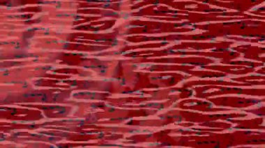 Dijital doku yüzey tasarım biçimi ile modern video animasyonu için gelişmiş hareket grafikleri