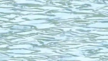 Benzersiz dijital animasyon tarzı grafikleri olan yaratıcı ortam tasarımı için yenilikçi hareket dokusu