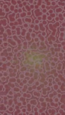 Soyut hareket desenli fütüristik video üretimi için dinamik dijital arkaplan