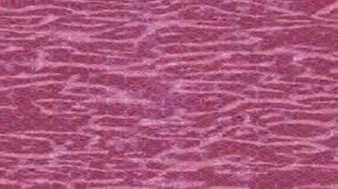 Benzersiz dijital animasyon tarzı grafikleri olan yaratıcı ortam tasarımı için yenilikçi hareket dokusu