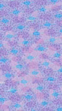 Yaratıcı video düzenleme film tasarımı için benzersiz hareket grafikleri biçimi giriş hareketi video pro