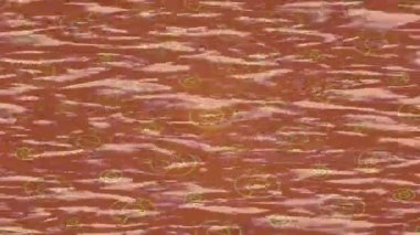 Estetik doku arkaplan tasarımı renkli hareket grafikleri ile moda film giriş profosyoneli