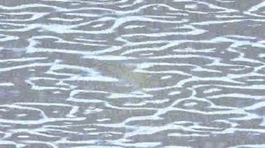 Dijital doku yüzey tasarım biçimi ile modern video animasyonu için gelişmiş hareket grafikleri