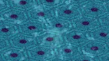 Benzersiz video giriş tasarımı projeleri için detaylı yüzey kalıbı film animasyon stili grafik girişi