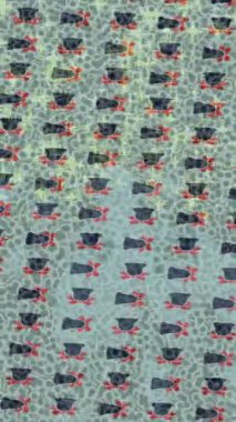 Lüks hareket tasarımı üst düzey video projeleri ve dijital sanat için zarif, pürüzsüz bir dokusu var.