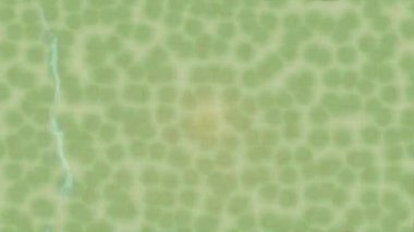 Benzersiz dijital animasyon tarzı grafikleri olan yaratıcı ortam tasarımı için yenilikçi hareket dokusu