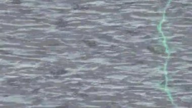 Benzersiz dijital hareket grafiklerine sahip yaratıcı sinematik projeler için yumuşak animasyon yüzeyi