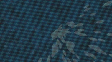 Benzersiz dijital animasyon tarzı grafikleri olan yaratıcı ortam tasarımı için yenilikçi hareket dokusu