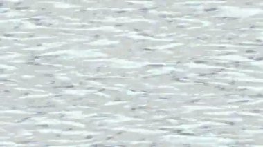 Dijital doku yüzey tasarım biçimi ile modern video animasyonu için gelişmiş hareket grafikleri