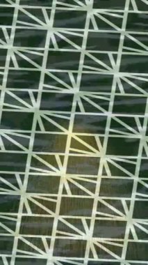 Profesyonel video projeleri sanat tarzı için organik hareketli arkaplan tasarımı