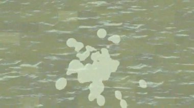 Profesyonel video projeleri sanat tarzı için organik hareketli arkaplan tasarımı