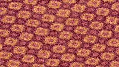 Lüks hareket projeleri için soyut tasarım stili animasyonu olan üst düzey dijital doku