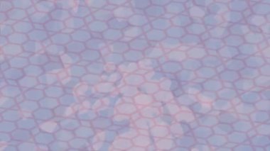 Profesyonel video projeleri sanat tarzı için organik hareketli arkaplan tasarımı