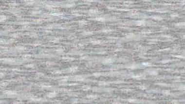 Profesyonel video projeleri sanat tarzı için organik hareketli arkaplan tasarımı