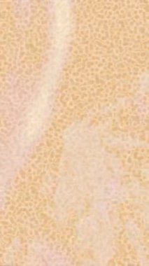 Benzersiz dijital hareket grafiklerine sahip yaratıcı sinematik projeler için yumuşak animasyon yüzeyi