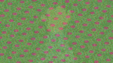 Benzersiz hareket grafikleri tasarım sanatına sahip yaratıcı film üretimi için özet bir arkaplan